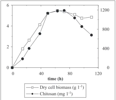 Table 4 presents the yield of chitosan by biomass obtained during the different phases of the culture growth.