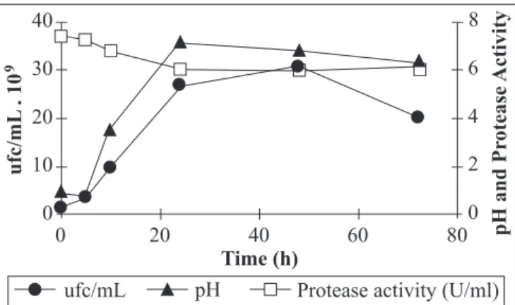 Figure 3. Kinetics of growth and protease production by C.