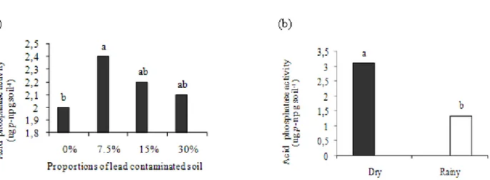 Figure 4. Acid phosphatase activity in (a) non-contaminated soil (0%) and with increasing proportions of lead-contaminated soil  (7.5%, 15% and 30%) and (b) from the dry and rainy seasons