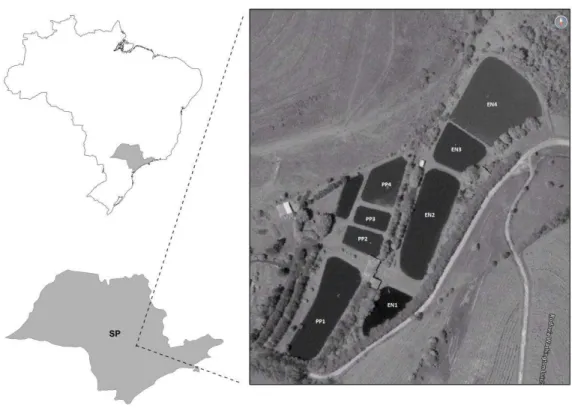 Figura 1: Imagens representativas do Brasil e de São Paulo e imagem de satélite do Pesque – Pague Corumba-taí,  via Google Earth, 2012.