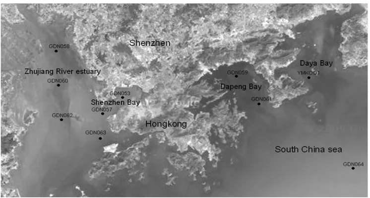 Figure 1. Shenzhen coastal waters sampling stations employed in this study 