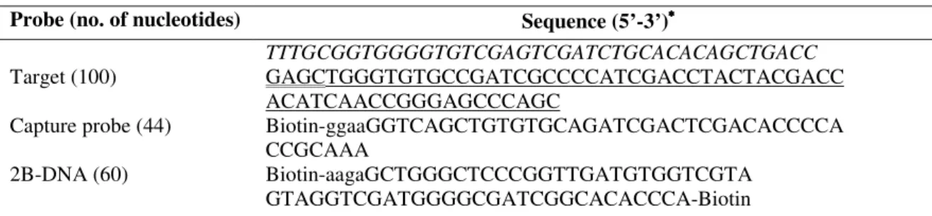 Table 1.  The nucleotide sequence of synthetic target, capture probe, and 2B-DNA. 