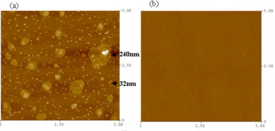 Figure 3. Representative atomic force microscopy images of self-assembled DNA-streptavidin nanoparticles show that the nanoparticles  are  three-dimensional  ellipsosomes