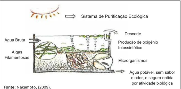 Figura 5: Esquema do sistema de Purificação Ecológica da água.