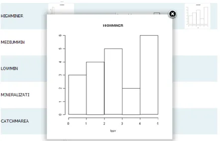 Figure 24 Visualization of a variable’s histogram in full size 