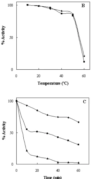 Figure  2.    (A)  Temperature  profile  of  enzyme  in  20  mM  phosphate buffer, pH 5.0