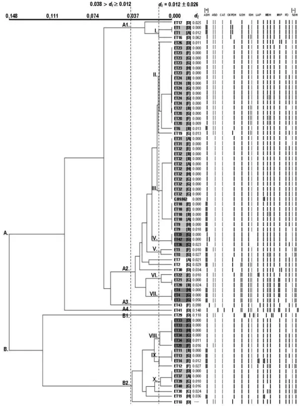 Figure 1. Genetic diversity of C. albicans isolated from oral cavities of 75 healthy schoolchildren from eight schools located in  different geographic areas (central or peripheral) of Piracicaba city, São Paulo state, Brazil