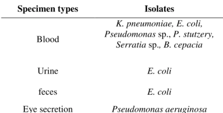 Table 5. Strains isolated from different specimen type detected  from patients with infections 