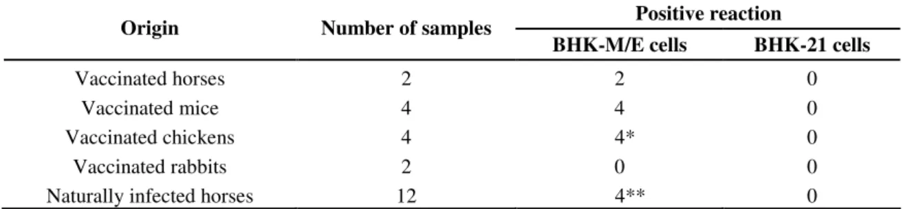 Table  1. Reactivity  of  sera  from  different  animal  species  vaccinated  or  naturally  infected  with  WNV,  with  BHK-ME  cells  and  negative control (BHK-21 cells) by IFA