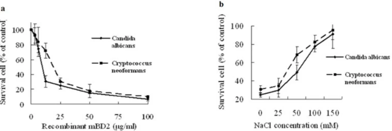 Figure  4. Antifungal activity of  rmBD2 using the colony counting assay. Fungal cells  were  grown overnight in medium YPG