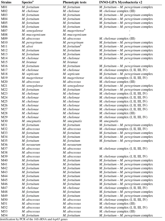 Table  3. Identification of the 54 rapidly growing mycobacteria strains by phenotypic tests and by INNO-LiPA Mycobacteria v2  assay
