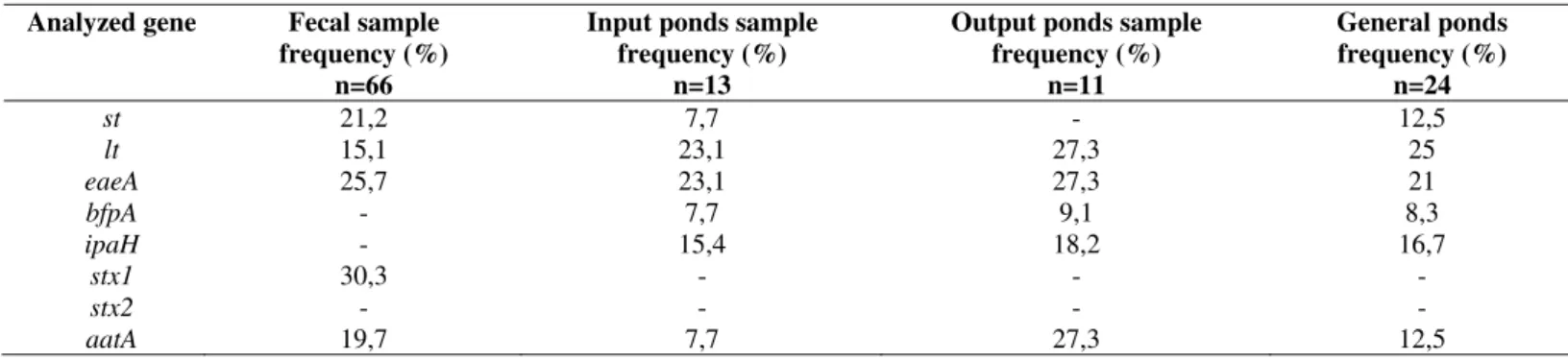 Table 1. Detection frequency (%) in fecal and wastewater samples (input and output of ponds) analyzed virulence genes of  Escherichia coli