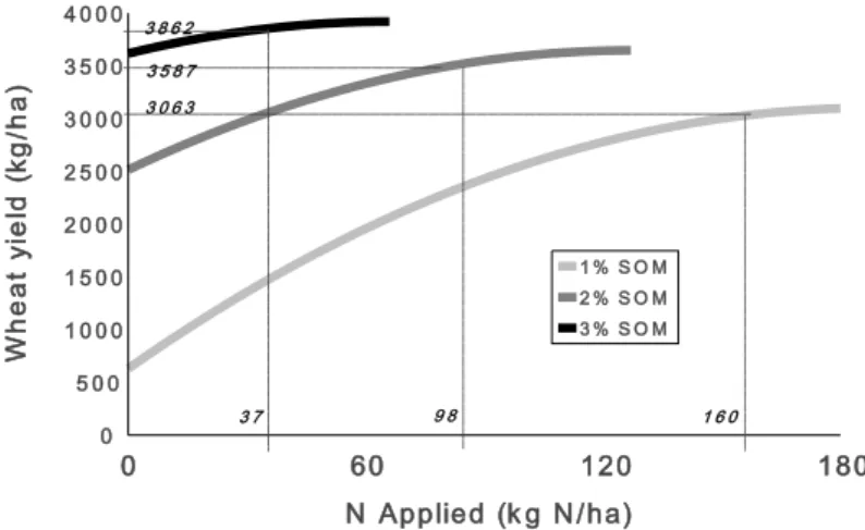 Figure 5: Effect of soil organic matter content (0-30 cm) (SOM) on the wheat response  to N fertilizer