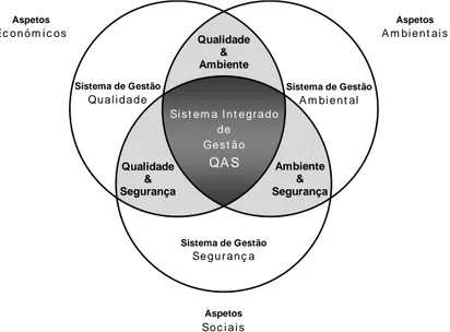 Figura 5 – Representação esquemática do sistema integrado de gestão da QASST. 