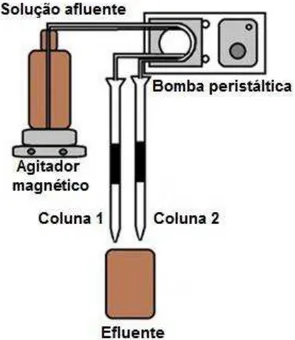 Figura 7- Esquema do ensaio de adsorção em leitos fixos de CAG em paralelo 