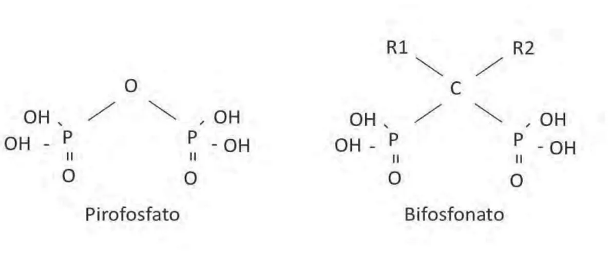FIGURA 1 – Fórmula molecular do pirofosfato e geral dos bifosfonatos  (Ponte Fernandez et al., 2006)