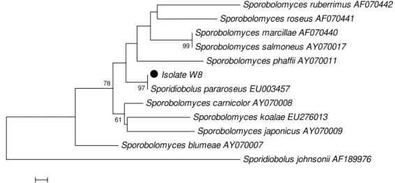Figure 1. Phylogenetic trees drawn from neighbor-joining analysis based on sequences of the D1/D2 domain, depicting the relationships 