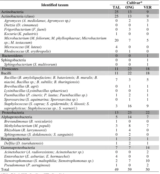 Table 1. Endophytic isolates obtained from three Phaseolus vulgaris cultivars. 