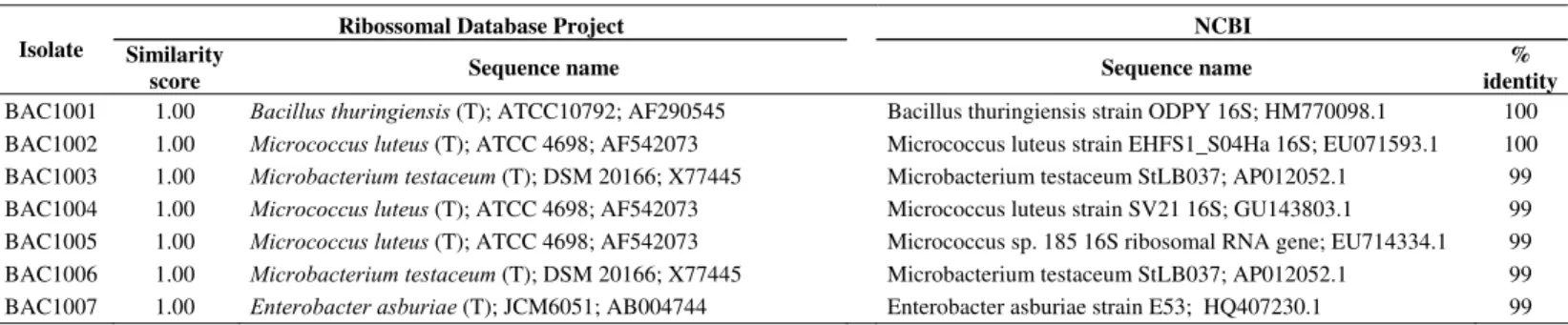 Table S1. Identity of the 16S rDNA gene sequences of the isolates with the sequences deposited in the database