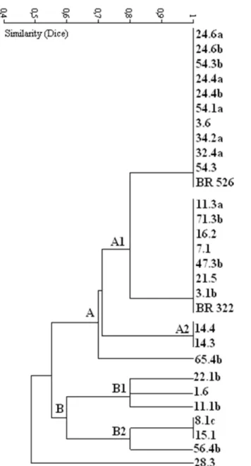 Figure 1. Similarity dendrogram obtained from cultural characterization of 27 bacterial isolates from pigeonpea root nodules and  two reference strains (BR 322 and BR 526), clustered by UPGMA clustering algorithm applying the Dice coefficient