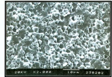 FIGURA  6  - Aspecto  da  superfície  da  cerâmica  Procera  AIICeram  sem  condicionamento