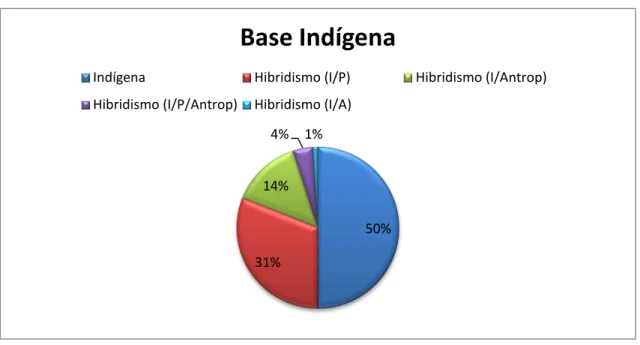 GRÁFICO 9: Base de origem indígena.  50% 31% 14%4% 1% Base Indígena