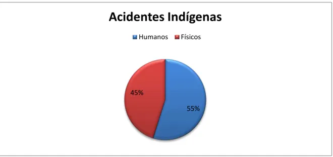 GRÁFICO 11: Acidentes Indígenas. 