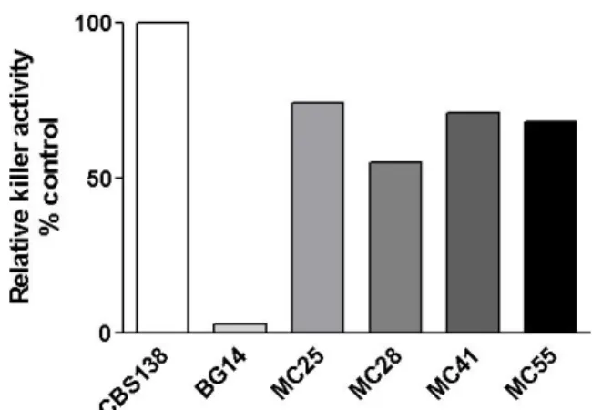 Figure 1. Killer activity of four C. glabrata clinical isolates. 