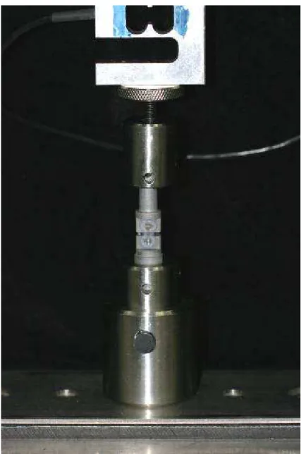 FIGURA 20 - Dispositivo adaptado à máquina de tração (EMIC).