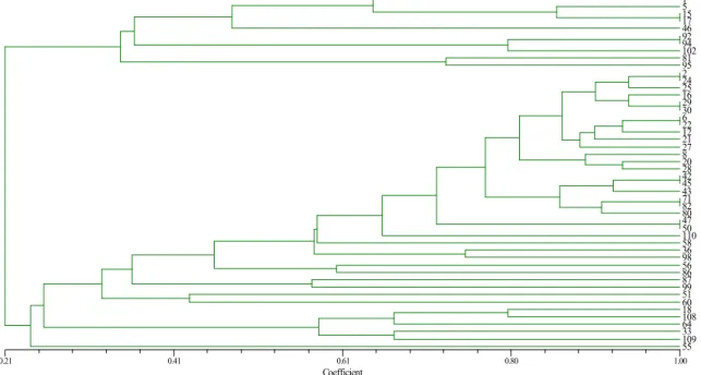 Figure 1. Analysis of similarity results for S. aureus samples isolated from dialysis patients, using Numerical Taxonomy System  software (NTSYS)