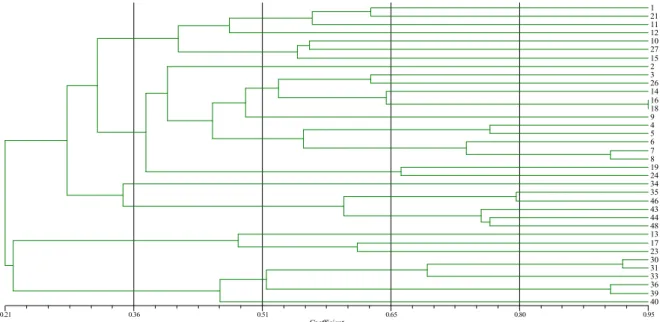 Figure 2. Analysis of similarity results for S. aureus samples isolated from kidney transplant patients, using Numerical Taxonomy  System software (NTSYS)