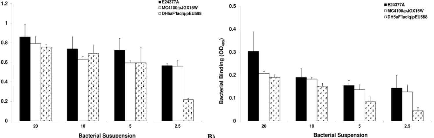 Figure 2. Binding of whole cell piliated recombinant ETEC E. coli strains to (a) bovine erythrocytes (b) asialo-GM 1 , Bacterial strains were incubated  with bovine erythrocytes and asialo-GM 1  coated microtitre plates