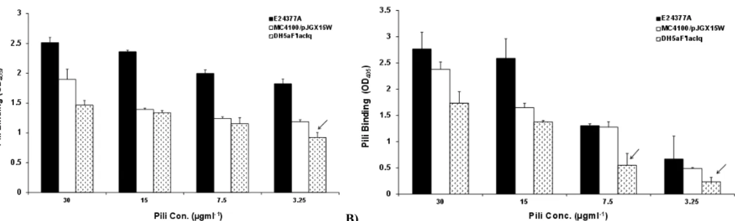 Figure 3. Binding of extracted crude pili of ETEC strains to (a) bovine erythrocytes (b) asialo-GM1