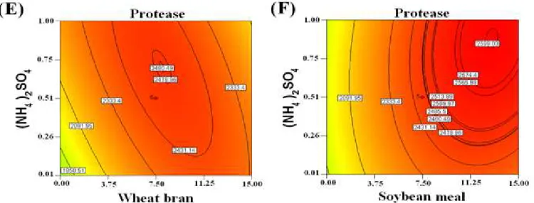Figure 1. Contour plots for Protease production showing the interactive effects of wheat bran and inoculum size (A), soybean  meal and inoculum size (B), (NH 4 ) 2 SO 4  and inoculum size (C), soybean meal and wheat bran (D), (NH 4 ) 2 SO 4  and wheat bran