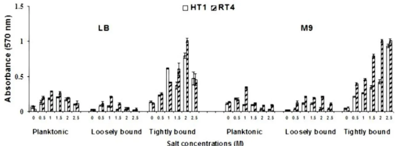 Figure 1. Effect of varying salt concentrations on planktonic, loosely bound and tightly bound cells of 