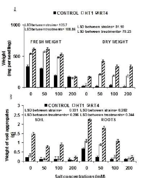 Figure 5. Effect of varying salt concentrations (mM) on the (A) Fresh weight and dry weight mg per seedling of (Cicer arietinum  Var