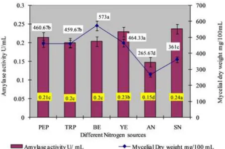 Figure 5. Effect of different nitrogen sources on amylase production. The mean values followed by the same letter are not  significantly different according to DMRT at p=0.05