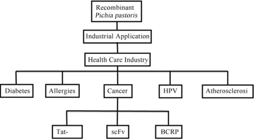 Figure 1 - Pichia pastoris applications in the health care industry. The diagram shows different lines of research in the healthcare industry that use recom- recom-binant P