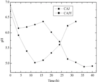 Figure 2 - Kinetic profiles of biomass (ln x/x 0 ), reducing sugars and hyaluronic acid for fermentation using S