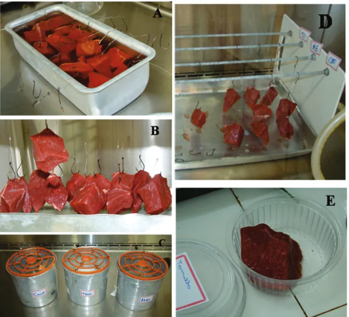Figure 1 - Main stages of the experiment that evaluated the antibacterial activity of edible gelatin coatings containing essential oils (EOs) of Thymus vulgaris and Rosmarinus officinalis against Listeria monocytogenes inoculated in raw beef pieces