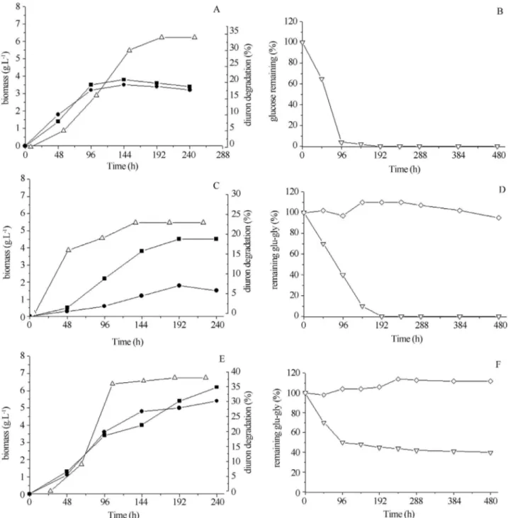 Figure 2 - Production of biomass and diuron degradation by Dacrypionax elegans SXS323