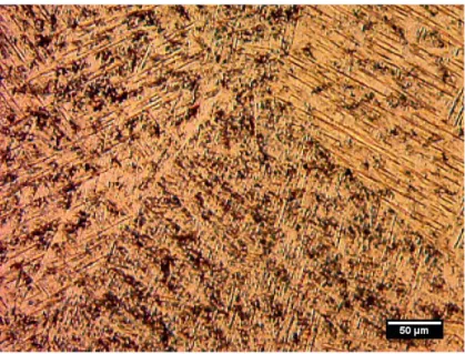 Figura 10 - Micrografia da liga Ti-30Ta, sem deformação após ataque   químico 