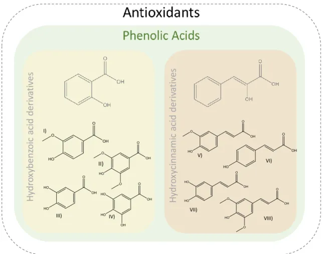 Figure 1.5 Chemical structures of hydroxybenzoic and hydroxycinnamic acid derivatives: I) vanillic acid; 