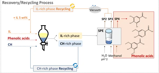 Figure 2.1.6 Scheme of the phenolic acids and ILs recovery, together with the IL recycling process