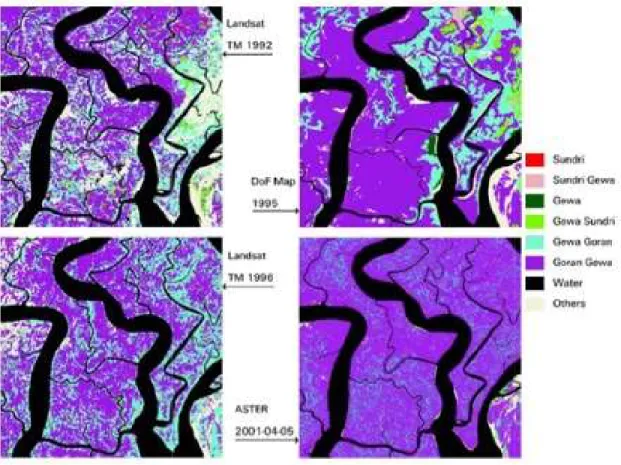 Fig. 3 — Changing pattern in distribution of Goran and 