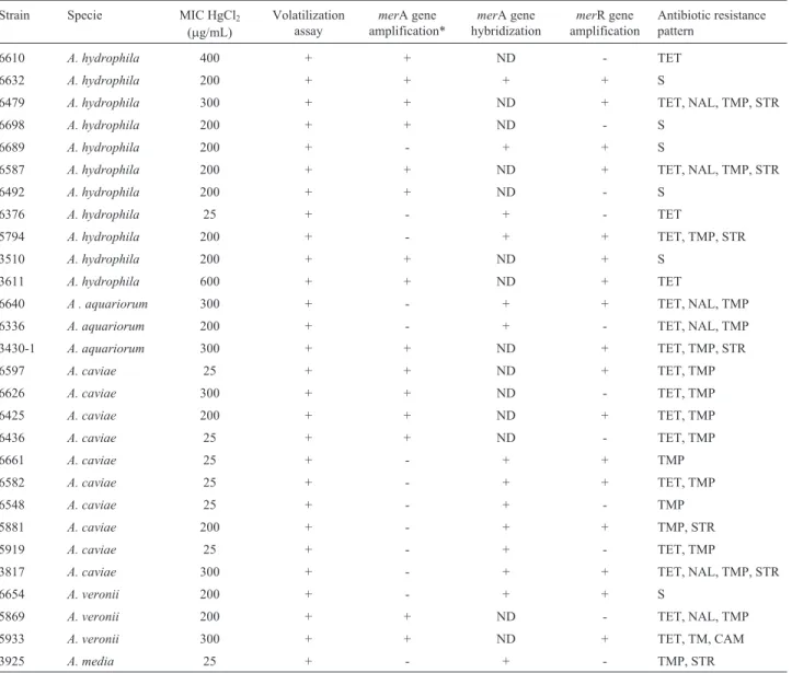 Table 1 - Characterization of mercury-resistant Aeromonas species.