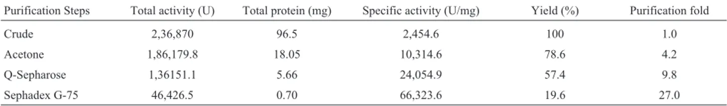 Table 1 - Summary of purification of lipase from mutant of P. aeruginosa.