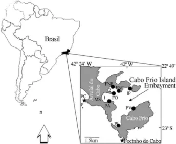 Figure 1 - Map of the study area and sampling stations in Arraial do Cabo, Cabo Frio region, state of Rio de Janeiro