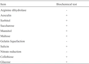 Table 1 - Biochemical characteristics of the isolates.