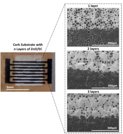 Figure 2. SEM images of the printed layers on top of cork sheet, showing the influence of the number  of printed layers (n) on the coverage quality and surface morphology